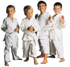 Little Ninjas